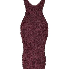 Carena Merlot Plunge Floral Appliqu?? Maxi Dress - Image 4