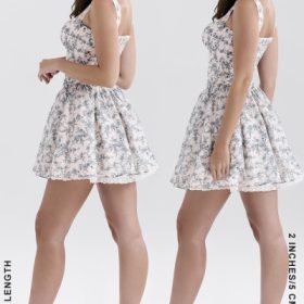 Brigitte English Porcelain Print Corset Mini Dress