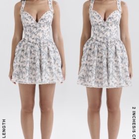 Brigitte English Porcelain Print Corset Mini Dress - Image 12