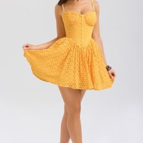 Carolina Apricot Lace Corset Mini Dress - Image 7