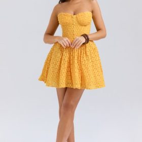 Carolina Apricot Lace Corset Mini Dress - Image 9